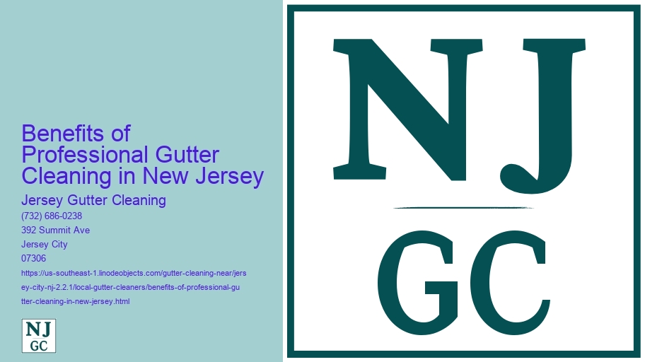 Benefits of Professional Gutter Cleaning in New Jersey 