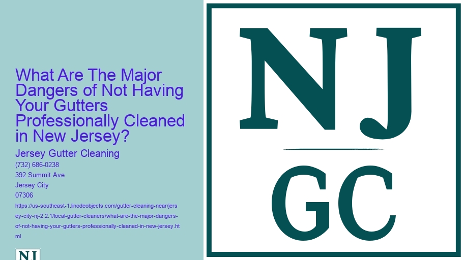 What Are The Major Dangers of Not Having Your Gutters Professionally Cleaned in New Jersey? 