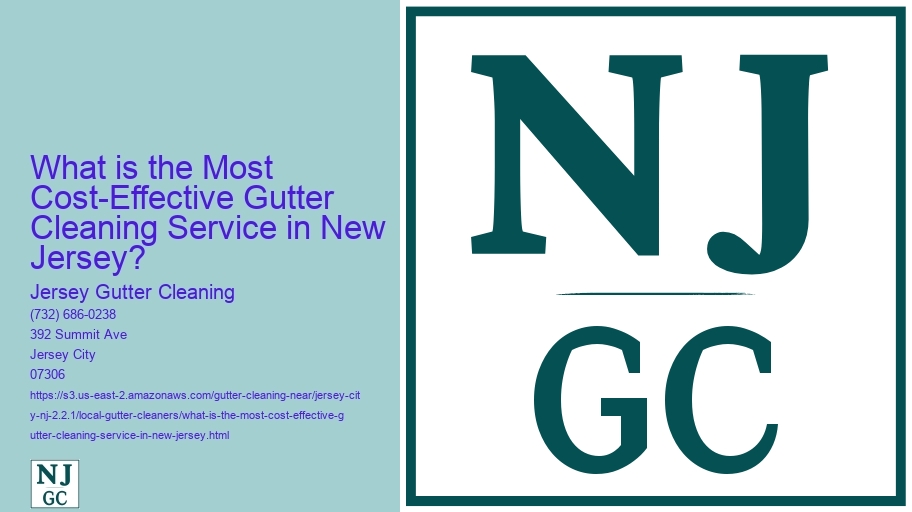 What is the Most Cost-Effective Gutter Cleaning Service in New Jersey?